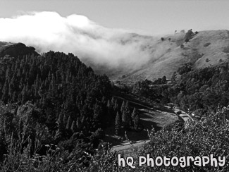 Fog Rolling over Road in San Francisco black and white picture