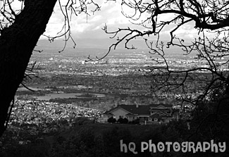 Scenic View of San Jose From A Hill black and white picture