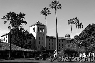 Mission Gardens, Santa Clara University black and white picture