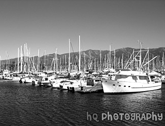 Boats of Santa Barbara, California black and white picture