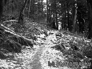 Mt. Peak Icy Trail black and white picture