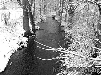 Snow & Creek black and white picture