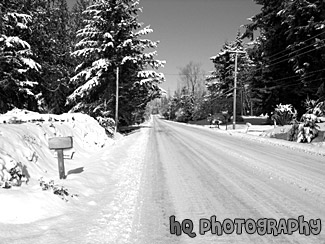 Icy Road black and white picture