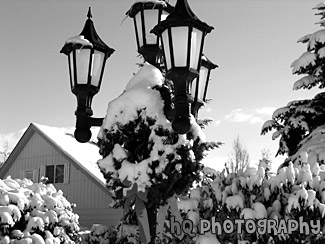 Christmas Wreath in Snow black and white picture