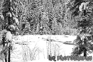 Snow & Covered Water black and white picture