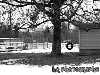 Tire Swing & Snow black and white picture