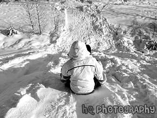 Sledding black and white picture