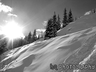 Snow and Sun black and white picture