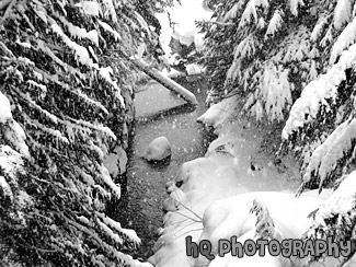 Never Ending Falling Snow black and white picture