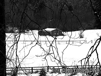 Winter Snow & Red Barn black and white picture