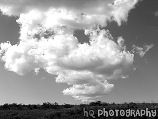 Bright Puffy Clouds black and white picture