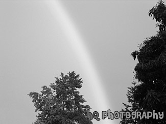 Bright Rainbow black and white picture