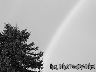 Two Rainbows black and white picture