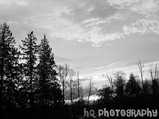 Colorful Pink Washington Sunset black and white picture