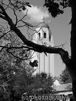 Stanford University, California black and white picture