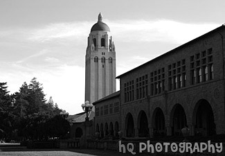 Hoover Tower, Stanford University black and white picture