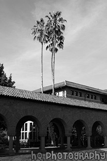 Scenic Stanford University Scene black and white picture