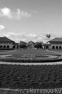 Stanford University Main Entrance black and white picture