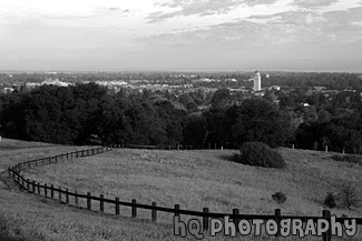 Stanford University Hill Scene black and white picture