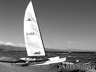 Sailboat & View of Lake Tahoe black and white picture