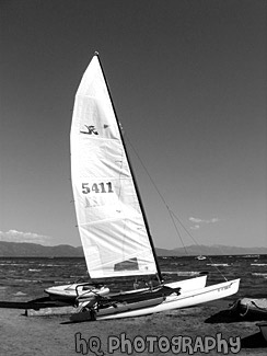 Lake Tahoe Sailboat black and white picture