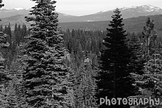 Tahoe Ski Resort View black and white picture