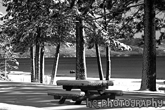 Picnic Table & Lake Tahoe Snow black and white picture