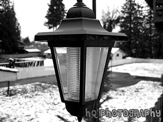 Outside Night Light black and white picture