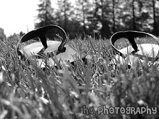 Sandals in Grass black and white picture