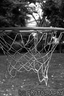 Basketball Hoop black and white picture