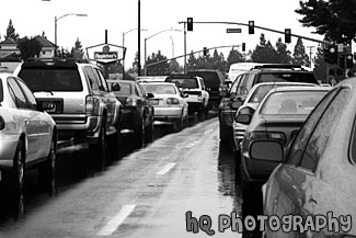 Traffic and Cars black and white picture