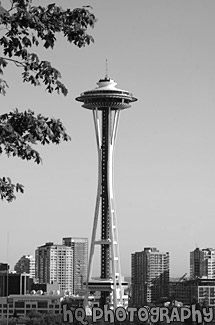 Space Needle black and white picture