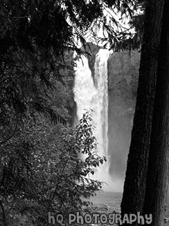 Snoqualmie Falls Behind Trees black and white picture