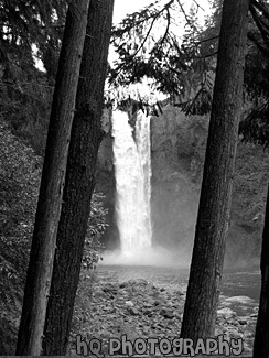 Snoqualmie Falls Between Trees black and white picture