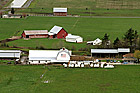Aerial View of Farm photo thumbnail