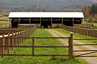 Farm Shed & Gate photo thumbnail