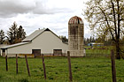 White Barn, Silo & Tree photo thumbnail