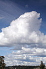 Big Puffy Cloud & Blue Sky photo thumbnail