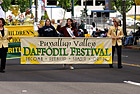Daffodil Parade Sign photo thumbnail