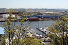 Commencement Bay, Trees, & Boats photo thumbnail