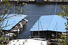 Tacoma Commencement Bay Boats photo thumbnail