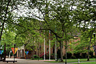 Eastvold Chapel Through Trees photo thumbnail