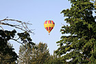 Hot Air Balloon Through Trees photo thumbnail