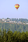 Hot Air Balloon, Trees, & Crystal Ridge photo thumbnail