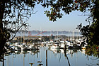 Sailboats of Tacoma Commencement Bay photo thumbnail