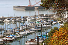 Sailboats in Puget Sound photo thumbnail