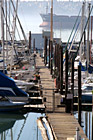 Dock & Sailboats in Tacoma photo thumbnail