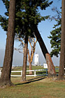 Brown's Point Lighthouse Framed by Trees photo thumbnail