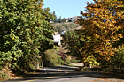 Curvy Road & Trees Changing Color photo thumbnail