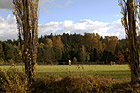 Farmland in Countryside of Orting, Washington photo thumbnail